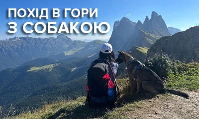 Як ходити із собакою в похід у гори, що взяти на сходження