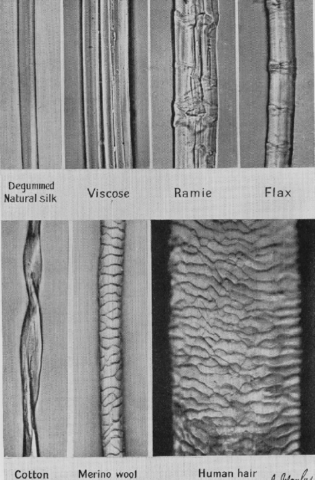Порівняння розміру та структури різних типів волокон.